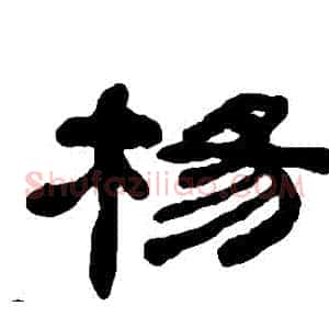 楊