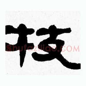 枝