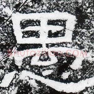 愚