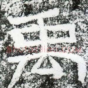 禹
