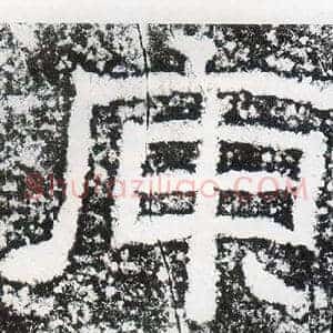 庾