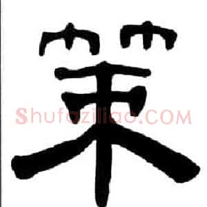 策