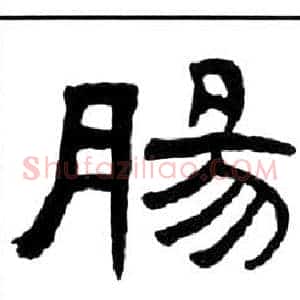 腸