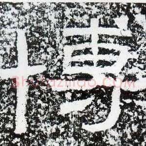 博