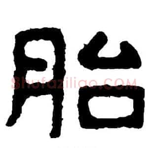 胎