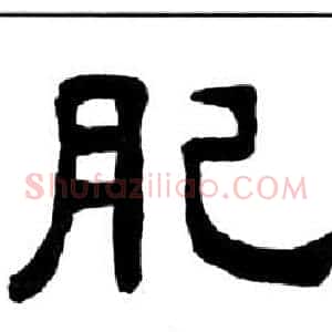 肥