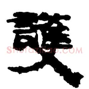 護