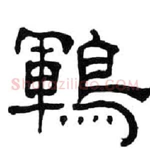 鹍
