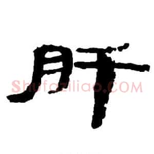 肝
