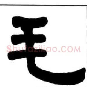 毛