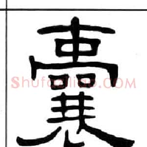 囊
