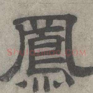 鳯