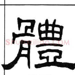 體