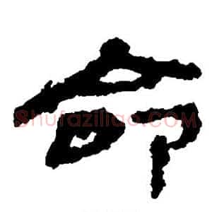 命