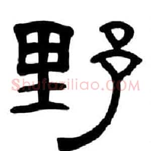 野