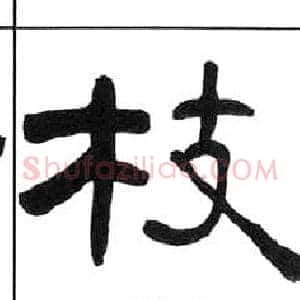 枝