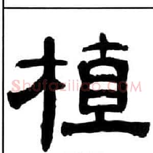 植