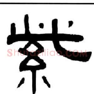 紫
