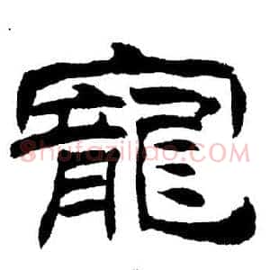 寵