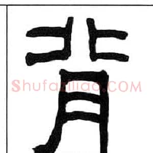 背