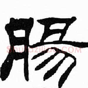 腸