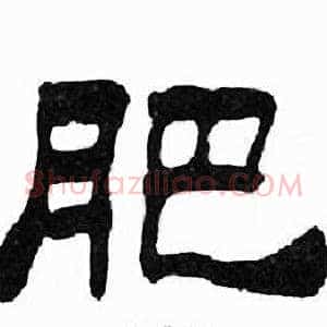 肥