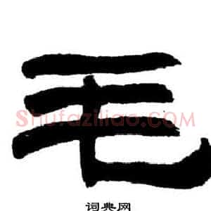 毛