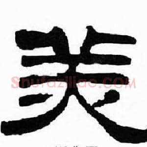 美