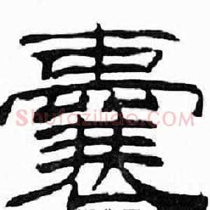 囊