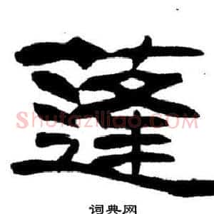 蓬