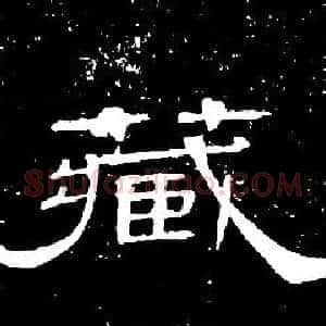 藏