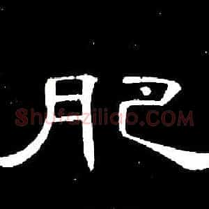 肥