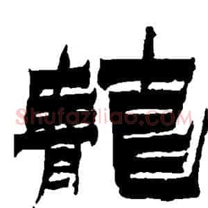 茏