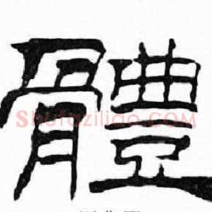 體