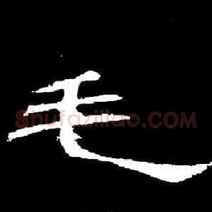 毛