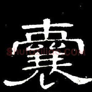 囊