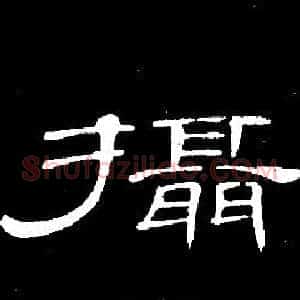 攝