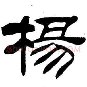 楊