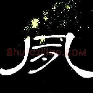 夙