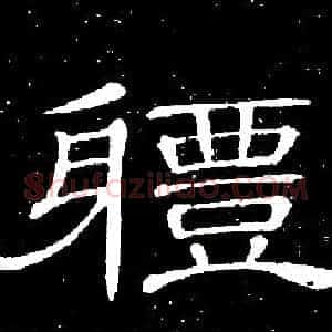體