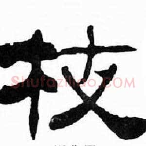 枝