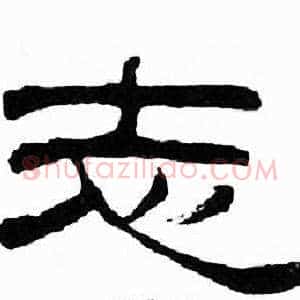 志