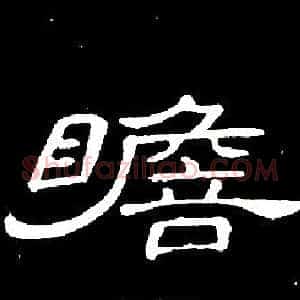 瞻