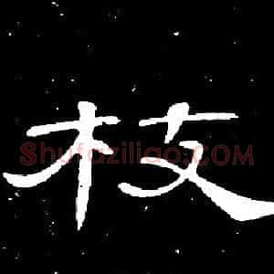 枝