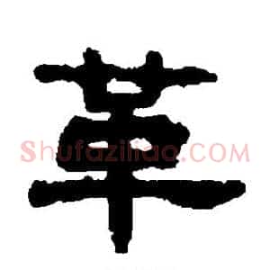革