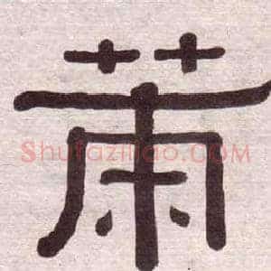 策