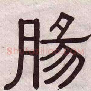 腸