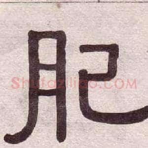 肥