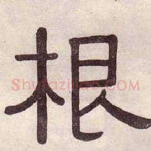 根