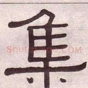 集